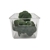 Clear fridge container holding broccoli for organized pantry storage.