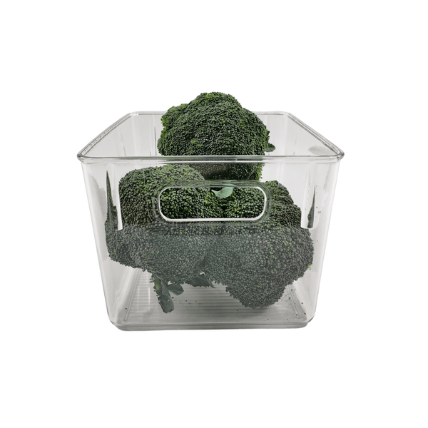 Clear fridge container holding broccoli for organized pantry storage.