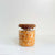Glass jar with acacia lid, 600ml, filled with popcorn kernels, perfect for pantry storage.