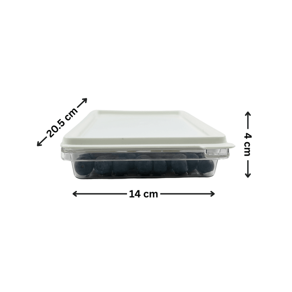 Ultimate Fridge Storage Bundle – 13 Pack container perfect for storing berries, enhancing kitchen organisation and freshness.