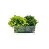 Fridge stackable clear storage tub with leafy greens for space-saving kitchen organizing.