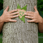 Person hugging a tree with a cardboard recycling symbol, symbolizing environmental awareness.