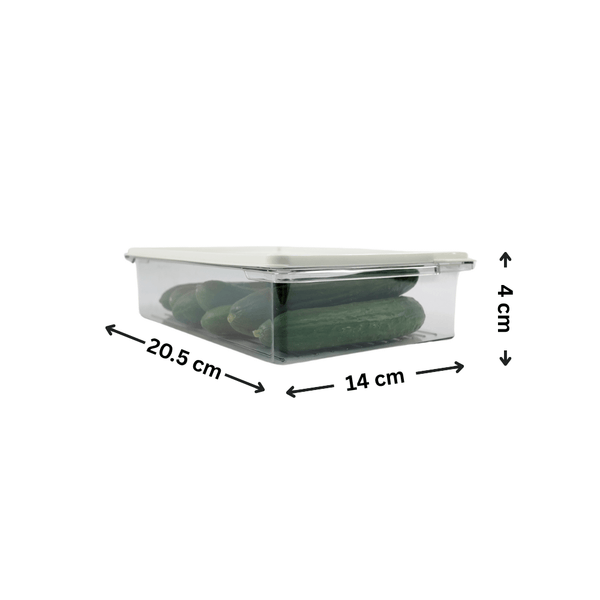 Rectangular fridge container with lid, dimensions 20.5x14x4 cm, storing cucumbers.