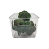 Clear large fridge storage tub with broccoli, perfect kitchen storage organiser, space-saving container for pantry or refrigerator.