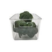 Clear container from the 14-Piece Fridge Organisation Starter Pack, ideal for fridge storage of fresh produce like broccoli.