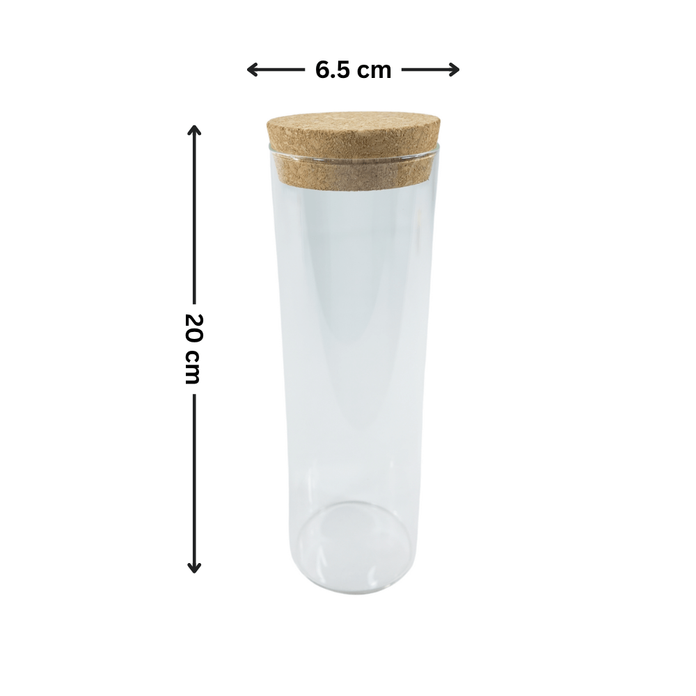 Glass Storage Jars with Cork Lid – 550ml (Set of 6) perfect for kitchen pantry organisation, measuring 20cm by 6.5cm.