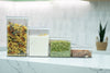 Row of clear airtight pantry containers in different heights holding pasta, rice, peas and almonds on a white marble bench