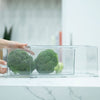 Clear Modular Drawer Organiser – Large