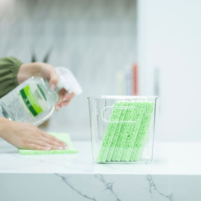 Clear Multi-Use Storage Tub With Lip – Medium holding cleaning sponges, ideal for kitchen or under sink storage organisers.