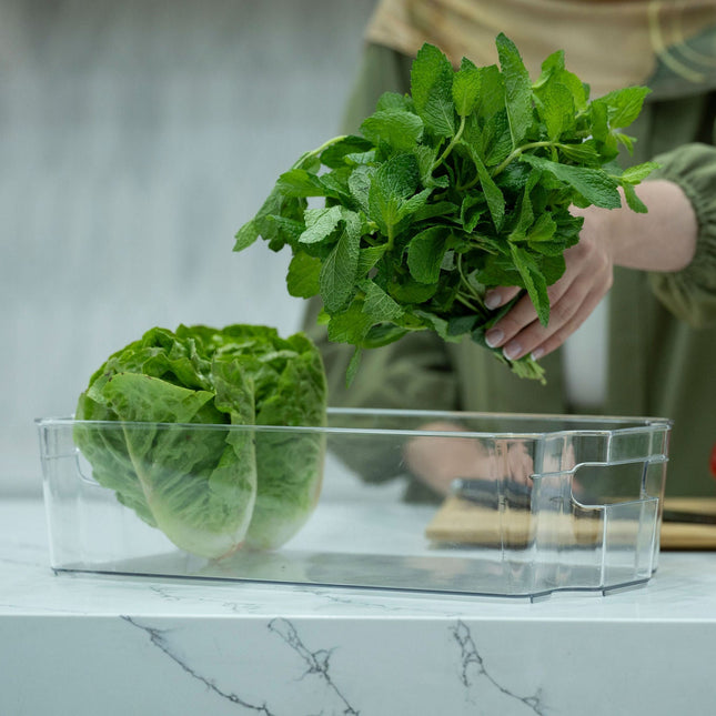 Clear Storage Tub With Handles – Large used for kitchen organisation, storing fresh greens, ideal for fridge or pantry storage.