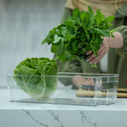 Clear Storage Tub With Handles – Large used for kitchen organisation, storing fresh greens, ideal for fridge or pantry storage.