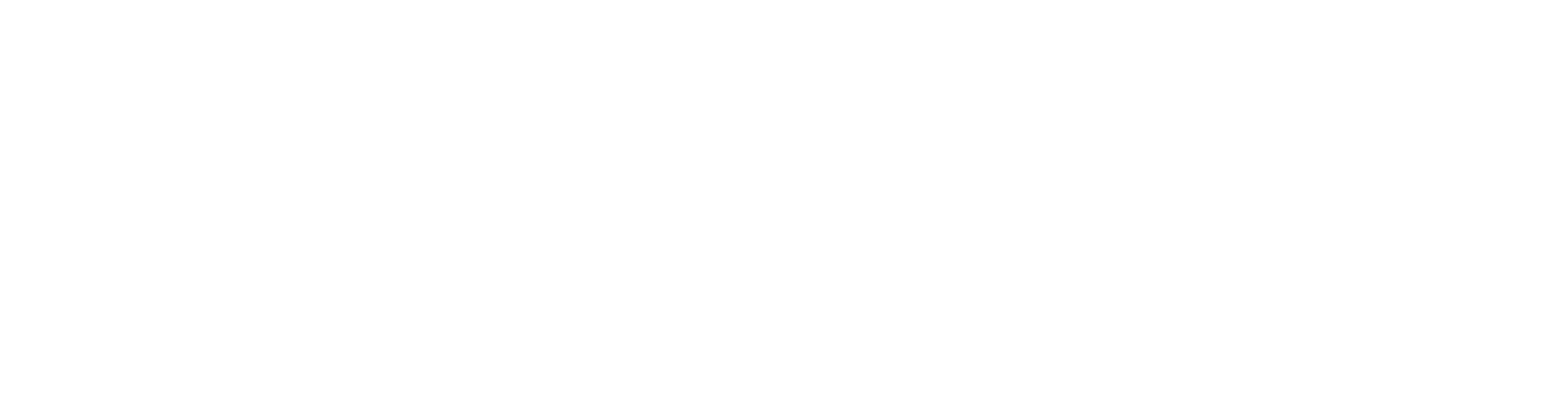 Logo of Storage Organisers Australia for home organisation and pantry storage solutions.